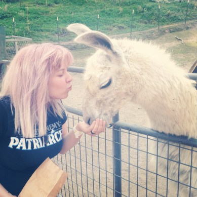 2015-08-17 14.10.41-1